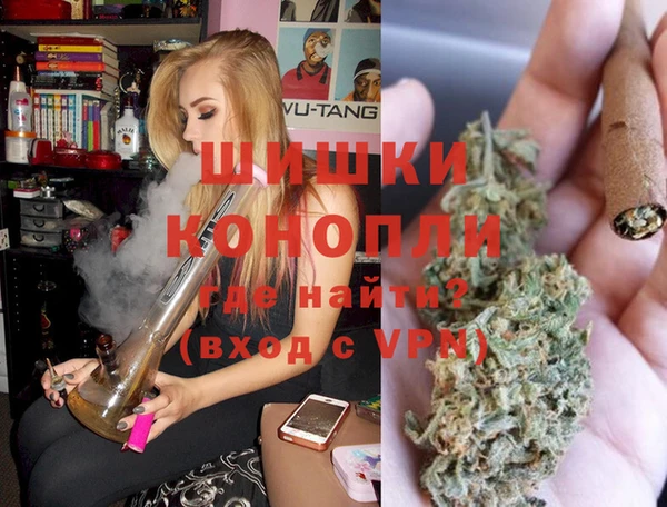 дживик Алексин