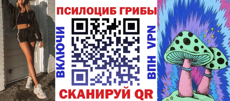 как найти закладки  Калач-на-Дону  kraken маркетплейс  Псилоцибиновые грибы мицелий 